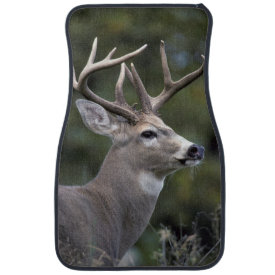 NA, USA, Washington State, White-tailed deer, Floor Mat