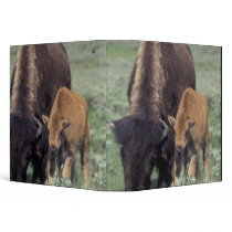 NA, USA, Wyoming, Yellowstone National Park. Vinyl Binders
