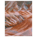 Nachal Zin in Negev Desert, Israel flyers