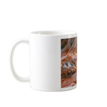 Nachal Zin in Negev Desert, Israel mugs