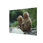 Nagano Prefecture, Japan Stretched Canvas Print