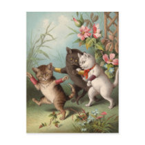 Naghty Cats postcard by lodgehouse Naghty Cats postcard