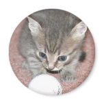 Naikun-Golfball Magnet