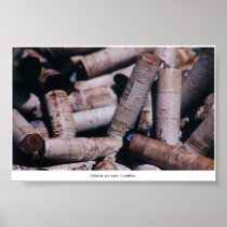 Nails in the Coffin Print