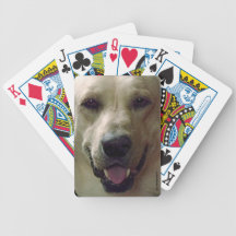 Naipes amarillos del laboratorio baraja cartas de poker