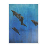 Naked Dolphins Post Card