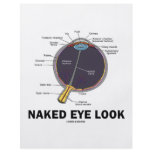 Naked Eye Look (Anatomical Attitude) Full Color Flyer