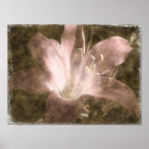 Naked lady lily - Print