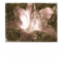 Naked lady lily - T-shirt by GardenDelightsArts Naked lady lily - T-shirt