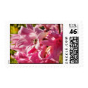 Naked lady lily with bee - Custom postage stamp
