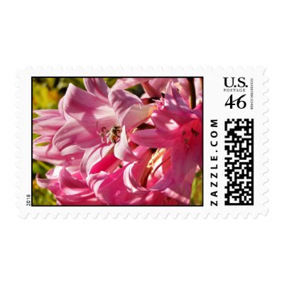 Naked lady lily with bee - Custom postage by GardenDelightsArts