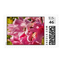 Naked lady lily with bee - Custom postage