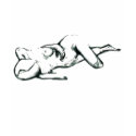 naked lady on blue t-shirts