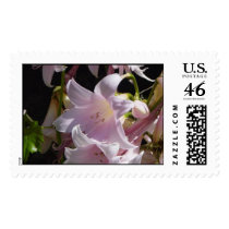 Naked Lady postage by DJMikeInCA Naked Lady postage