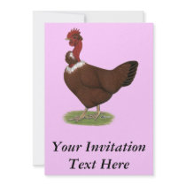 Naked-neck Hen Announcement