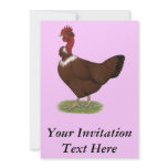 Naked-neck Hen Announcement