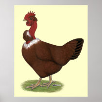 Naked-neck Hen Poster