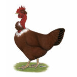 Naked-neck Hen t-shirts