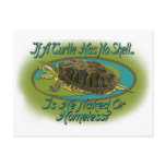 Naked Turtle Post Cards