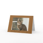Nala Notecards