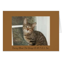 Nala Notecards