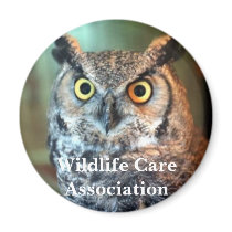 nala, Wildlife Care Association magnets