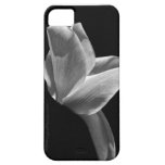 "Namaste" in Black & White iPhone 5 Case