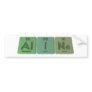 name-Aline-Al-I-Ne-Aluminium-Iodine-Neon Bumper Stickers