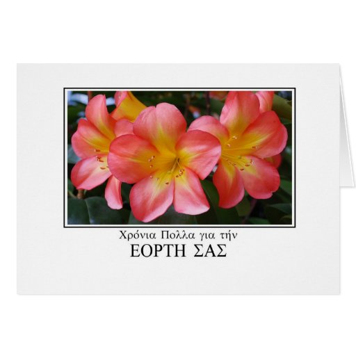 name-day-greetings-in-greek-with-clivia-card-zazzle