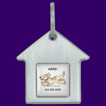 name dog tag pet tags