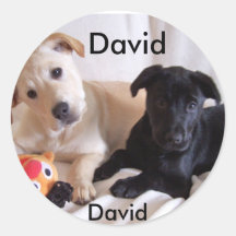 Name sticker for DAVID