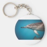 Name Your Keychain