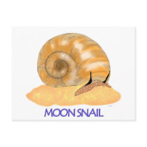 Name Your Postcard postcards