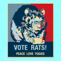 Name Your PosterVote Rats! posters
