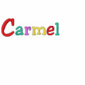 Namedrop Nation_Carmel Multi-colored embroidered shirts by FUNauticals Namedrop Nation_Carmel Multi-colored embroidered shirts