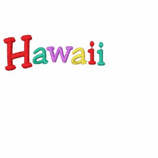 Namedrop Nation_Hawaii Multi-coloured embroideredshirt