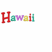 Namedrop Nation_Hawaii Multi-colored Hoodie