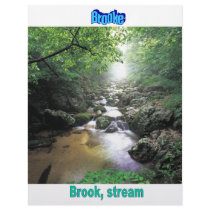 Names&Meanings - Brooke letterhead