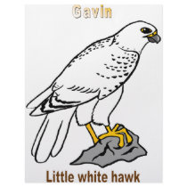 Names&Meanings - Gavin letterhead