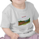 Names&Meanings - Jessica t-shirts
