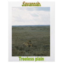 Names&Meanings - Savannah Letterhead Template
