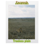 Names&amp;Meanings - Savannah Letterhead Template