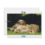 Names&amp;Meanings - Zoe Personalized Invites