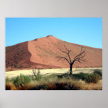 Namib Desert Dune Print