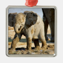 Namibia, Africa: Baby African Elephant Christmas Ornament