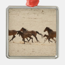 Namibia, Aus. Group of running wild horses on Christmas Ornament