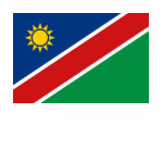 Namibia Flag Map Spaghetti Top