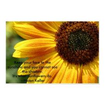 Nancys_sunflower posters by amg_photo Nancys_sunflower posters