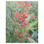 Nandina Berries Personalized Flyer