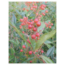 Nandina Berries Personalized Flyer